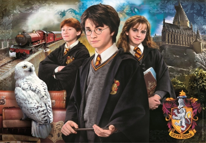 Harry Potter 1000 darabos puzzle kompakt dobozban