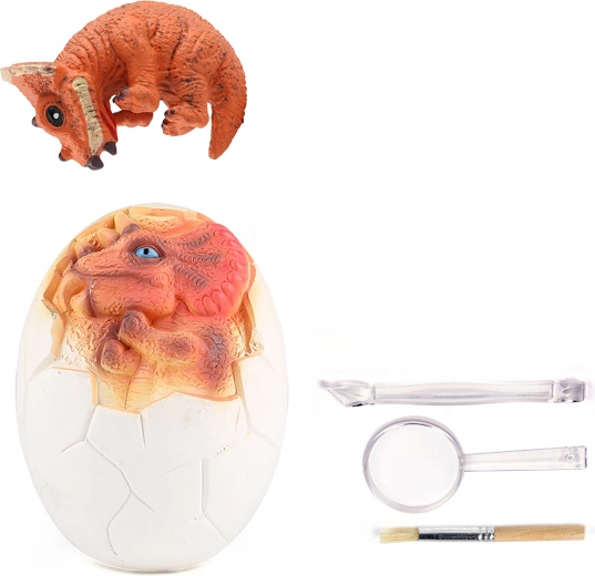 Minden, amire a kis paleontológusoknak szükségük van