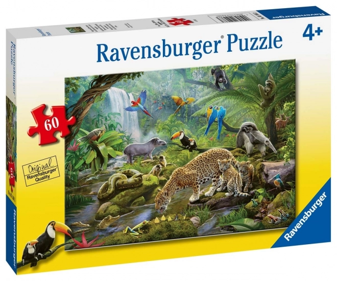 Állatok az esőerdőben puzzle - 60 darabos készlet