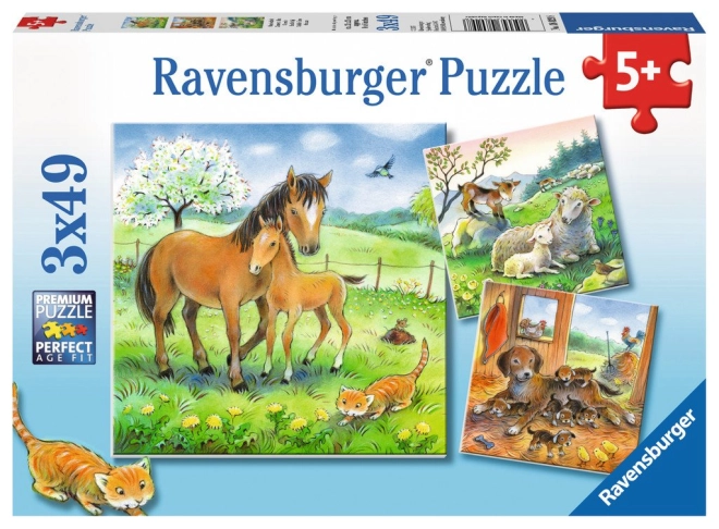 Három puzzle egy csomagban