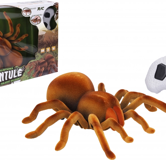 Tarantula távirányítóval 24 cm