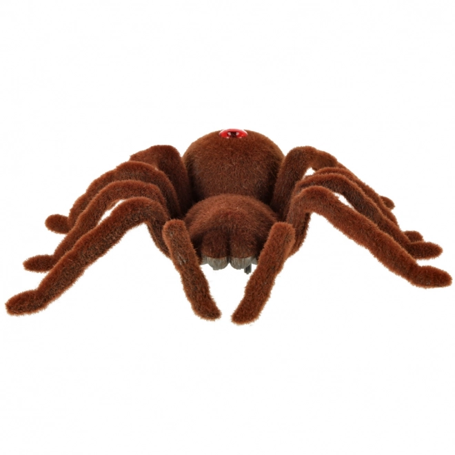 Távirányítós tarantula pók