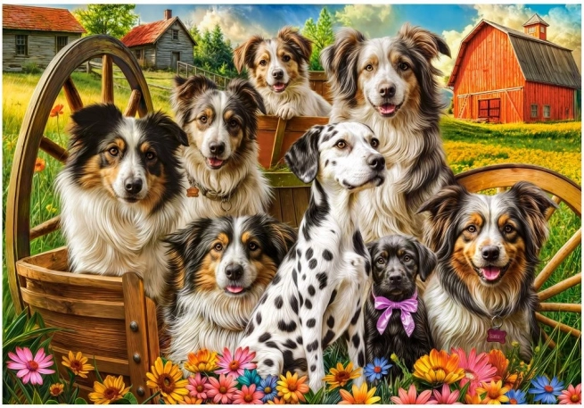 Castorland puzzle boldog kutyák a vidéken 1000 darab