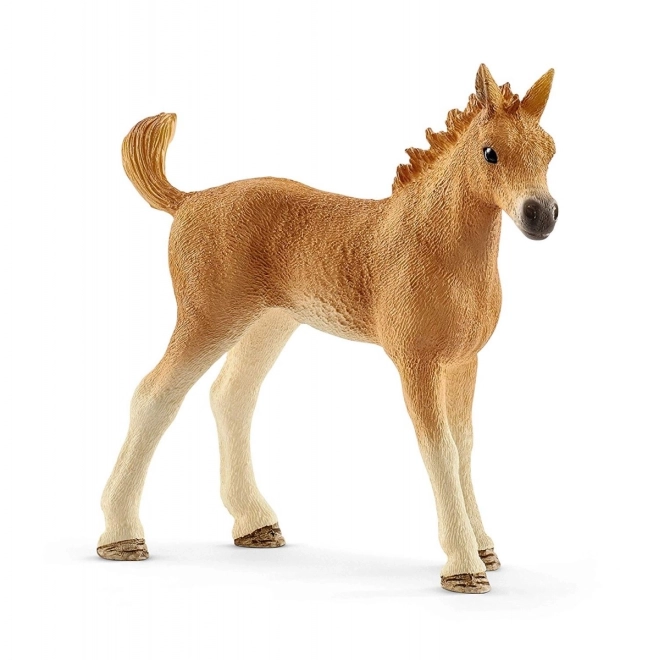Schleich Horse Club készlet lócsikóval, Quarter ló kölyökkutyával és kiegészítőkkel