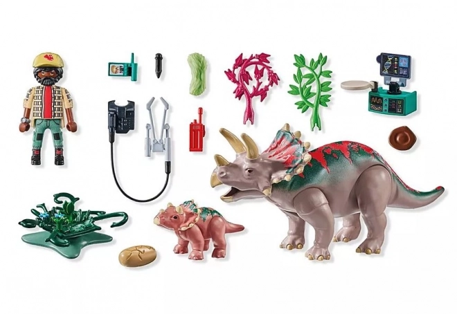 PLAYMOBIL Triceratops figura készlet