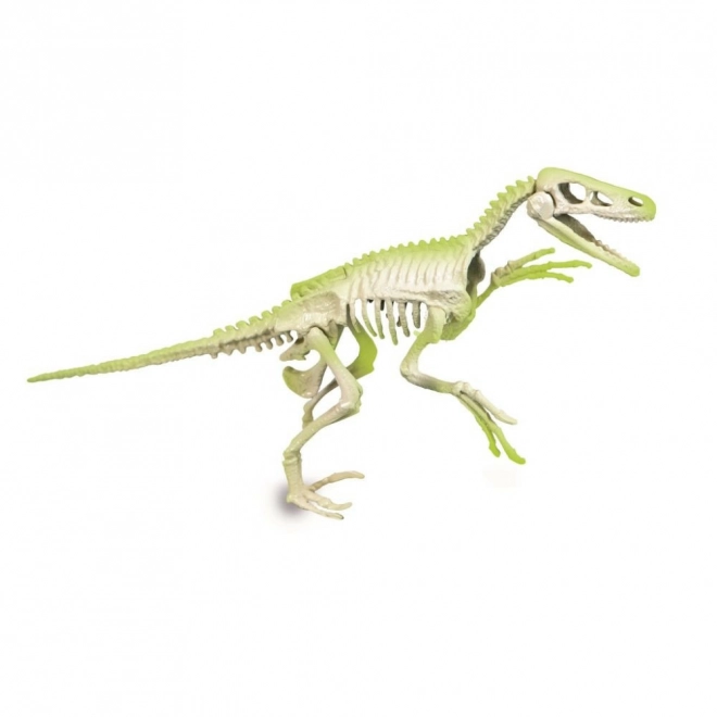 Clementoni Science & Play: Velociraptor ArcheoFun