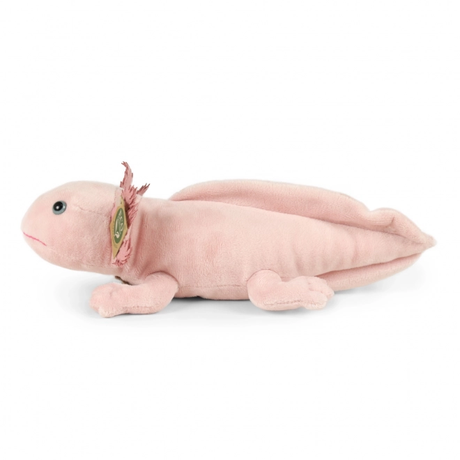 Eco-barát plüss axolotl 33 cm