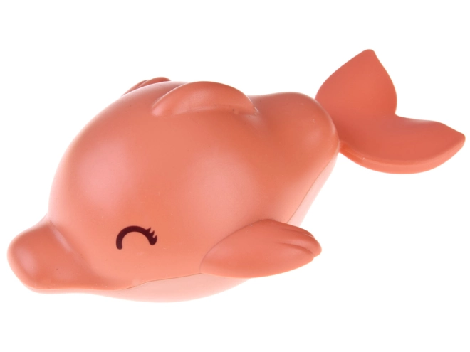 Vidám fürdés a delfinnel