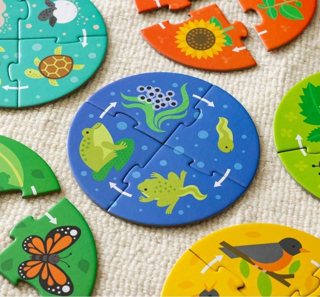 Petit Collage Felfedező Elefánt Mese Puzzle