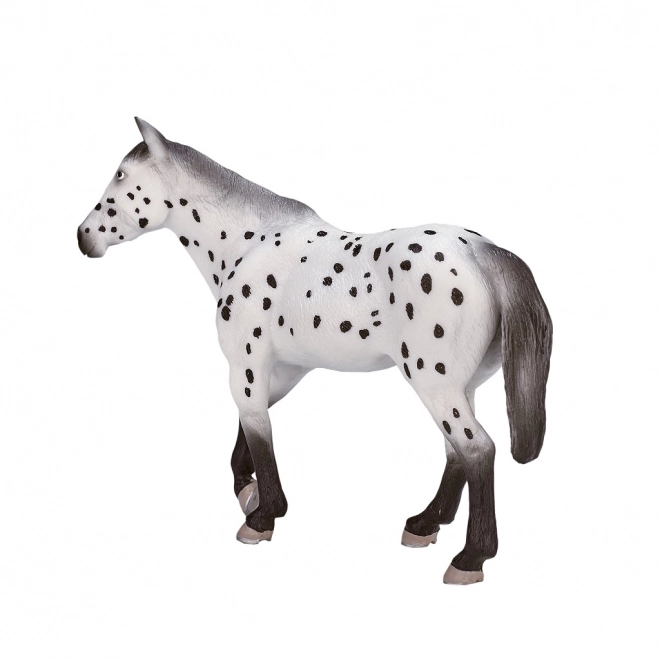 Mojo appaloosa mén