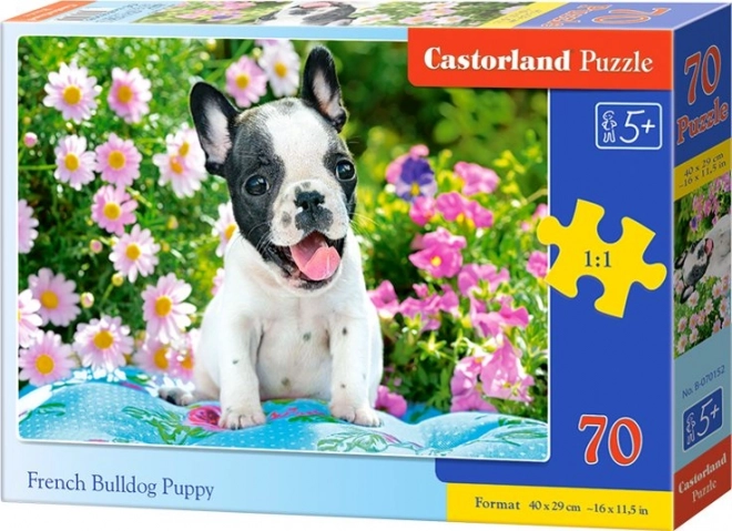 Francia Bulldog Kölyök Puzzle 70 Darabos