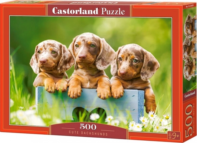 Castorland puzzle aranyos tacskók 500 darab