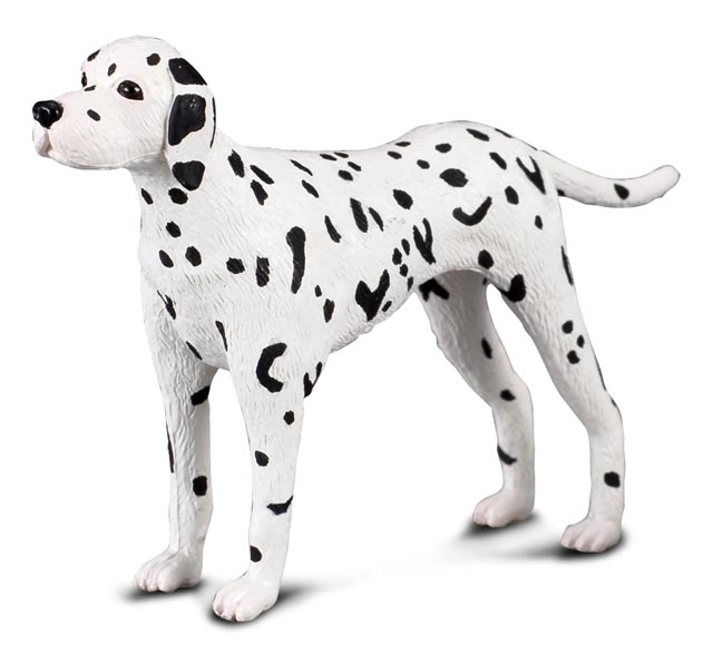 Collecta dalmata figura