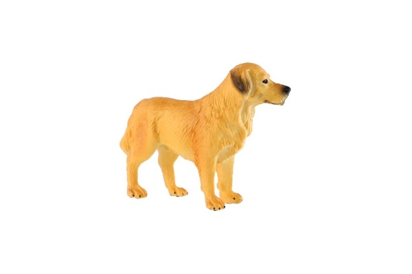 Kompakt 10 cm-es méret