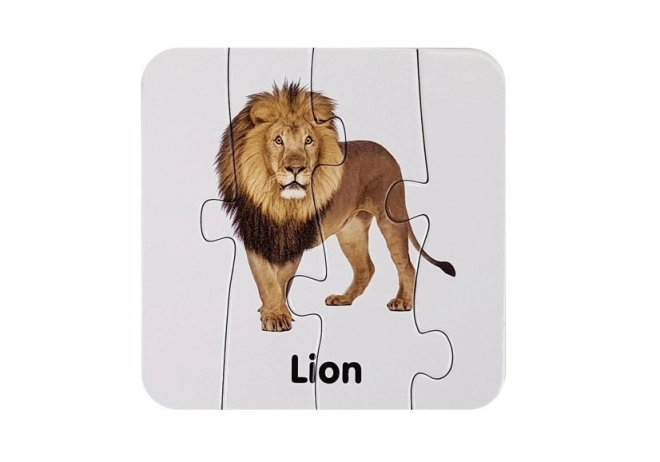 Realista illusztrációk vadállatokról