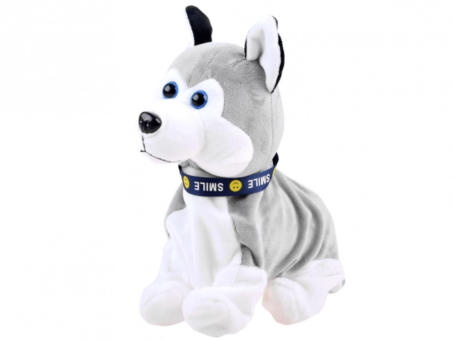 Interaktív Husky kutya