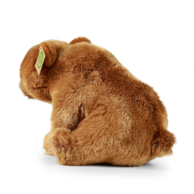 Ülő Grizzly Maci 30 cm - Környezetbarát