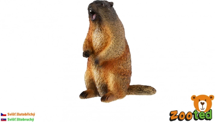 Sárgahasú mormota – realisztikus műanyag figura, 8 cm