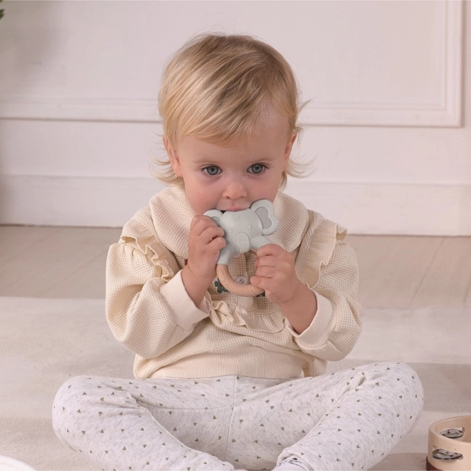 Montessori játékkészlet 5 hónapos kortól gyerekeknek