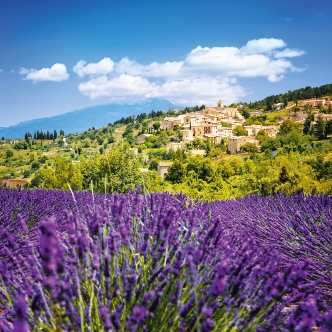 Provence Jegyzetnaptár 2026