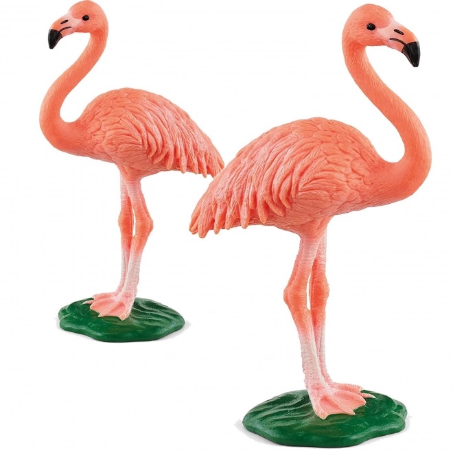 Rózsaszín Flamingó figura - SCHLEICH WILD LIFE