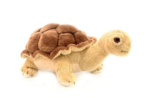Puhaplüs teknős 20 cm