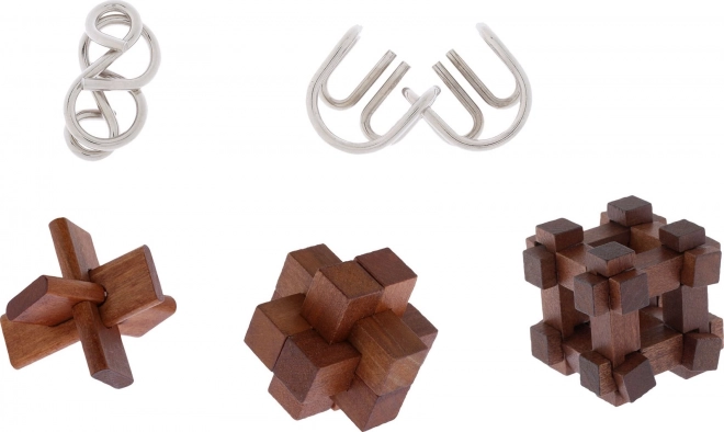 Professzor Puzzle 5 darabos fejtörő szett Nagy Elmék