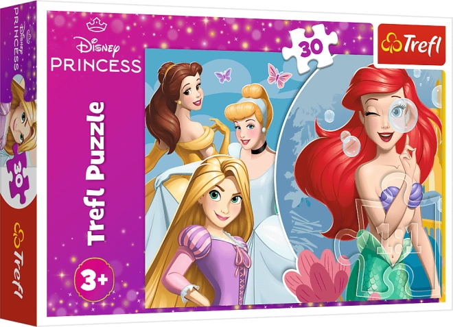 DISNEY PRINCESS hercegnős motívum