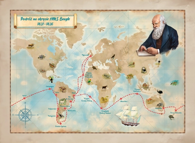 Darwin nyomában családi társasjáték