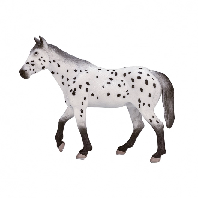 Mojo appaloosa mén