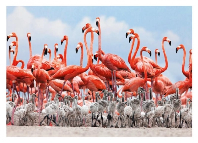 Flamingó puzzle 500 darabos