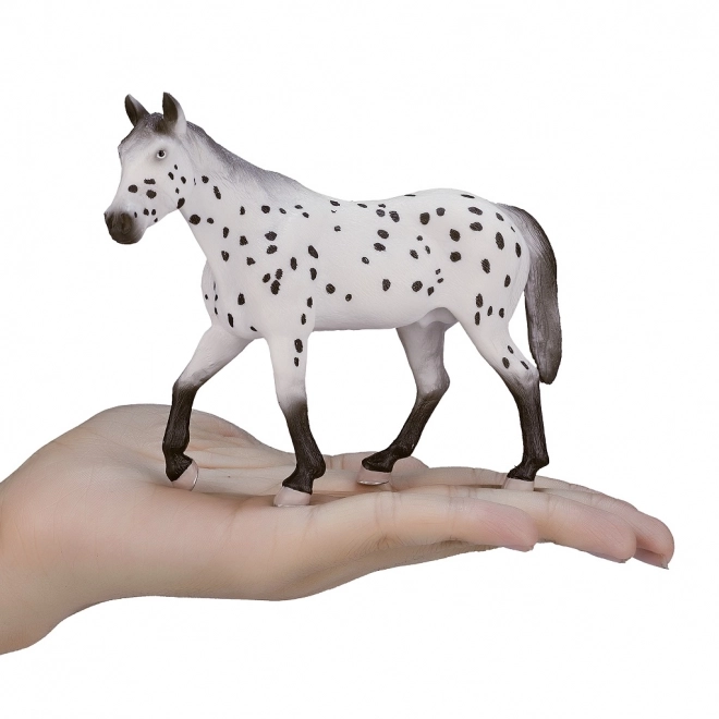 Mojo appaloosa mén