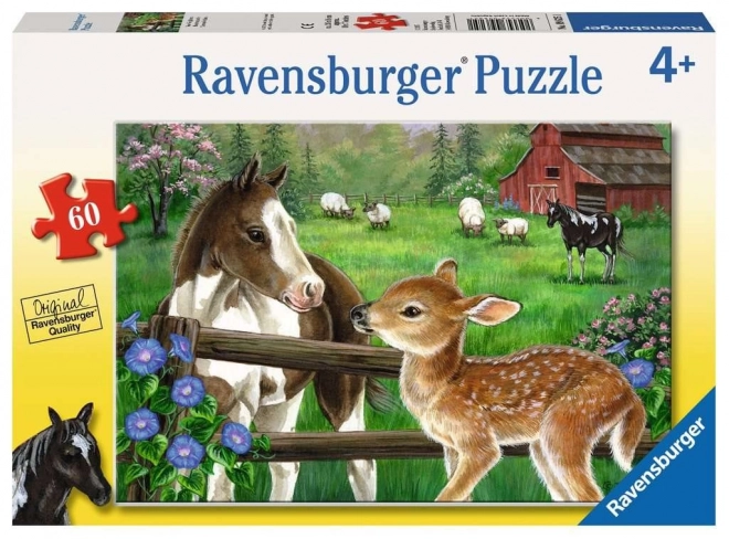 Ravensburger puzzle kicsi csikó és gida 60 darabos