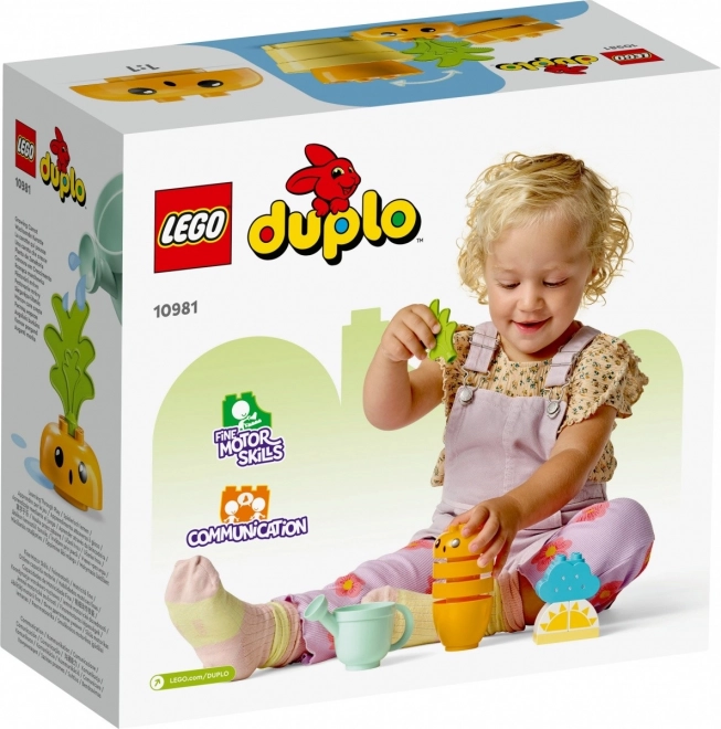 Lego duplo - növekvő sárgarépa