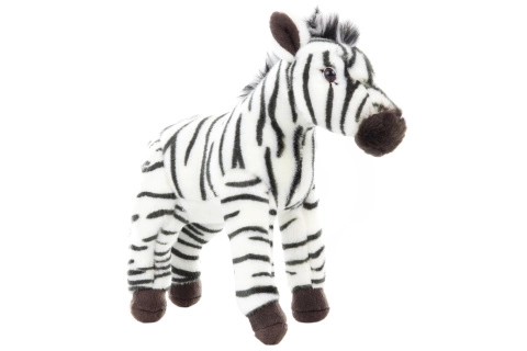 Pihe-puha zebra