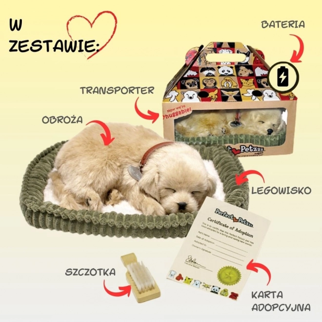 Arany Retriever Lélegző Kiskutya Játék