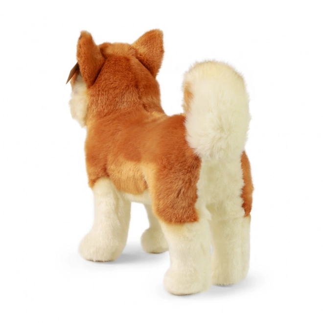 ECO-FRIENDLY plüss Akita Inu kutya 30 cm