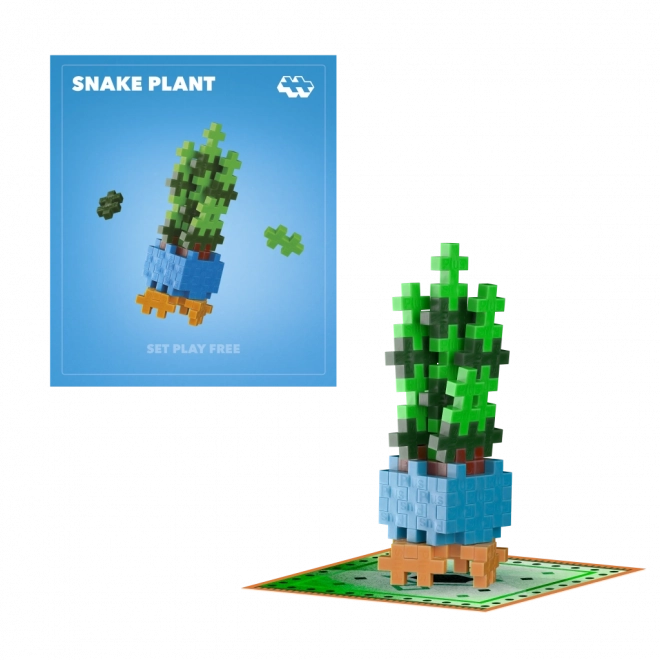 Plus-Plus virág Snake Plant