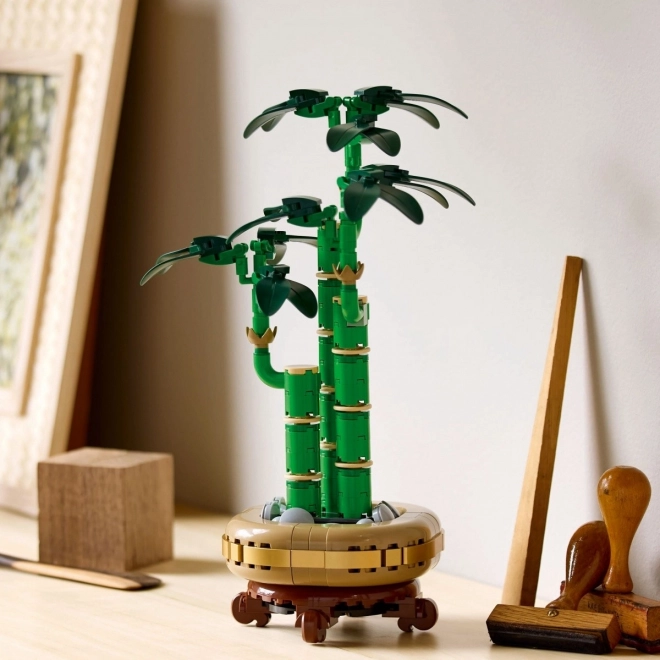 Dekorációs LEGO Botanicals Dracena