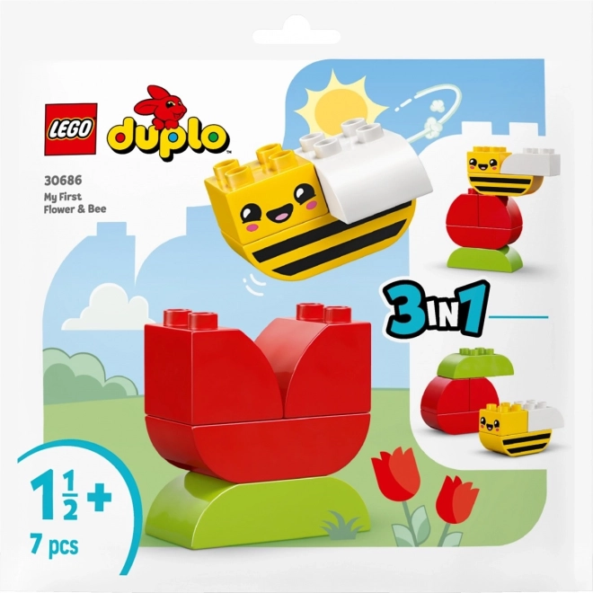 Duplo első virágom és méhem