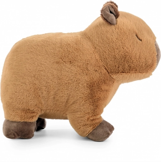 Természetes, megnyugtató design