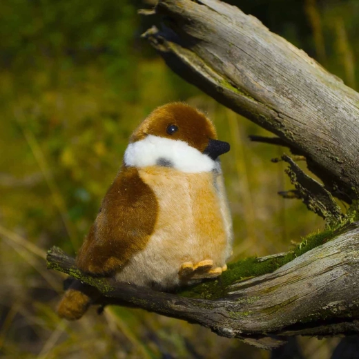 Valósághű megjelenés