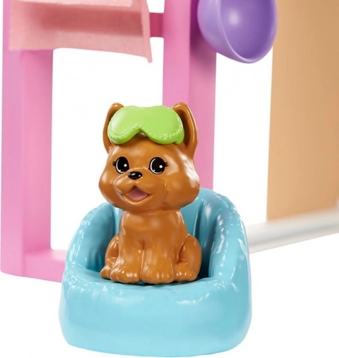 Gondoskodás a cuki kiskutyának is