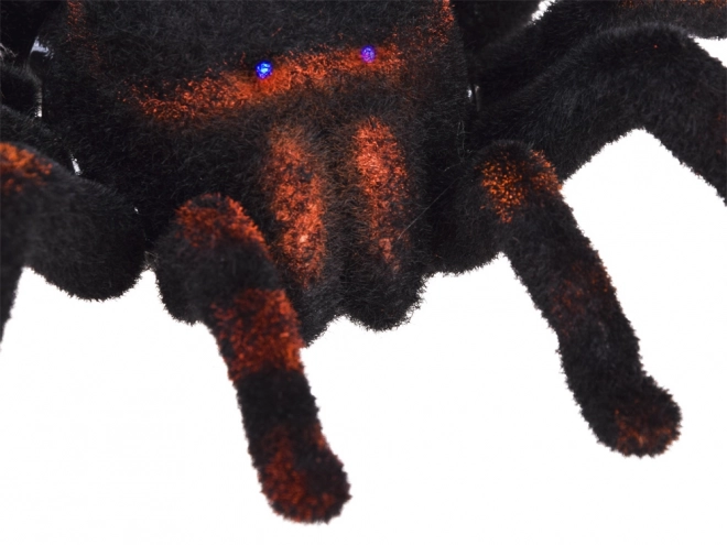 Távirányítós tarantula pók