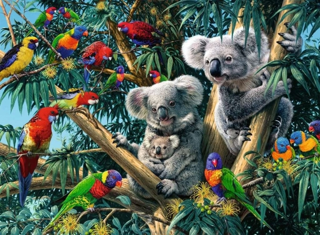 Koala puzzle a fa tetején 500 darabos