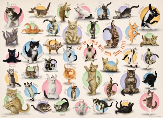 Macska jóga XL puzzle 500 darabos
