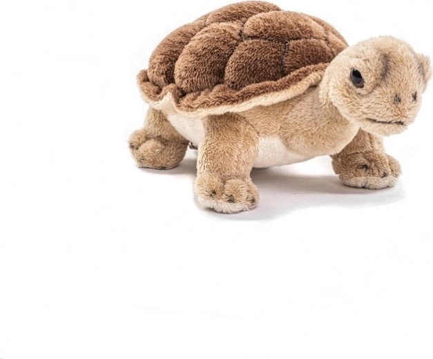 Biztonságos kivitel 0 éves kortól