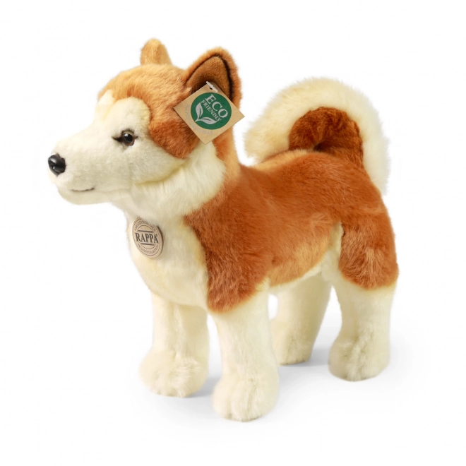 ECO-FRIENDLY plüss Akita Inu kutya 30 cm