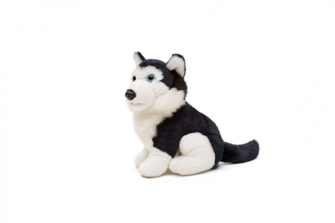 Plüss Husky kutya 15 cm