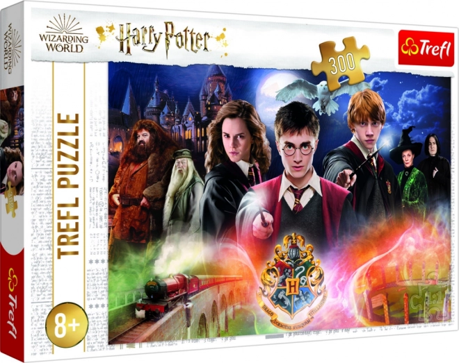 Rejtélyes Harry Potter 300 darabos puzzle